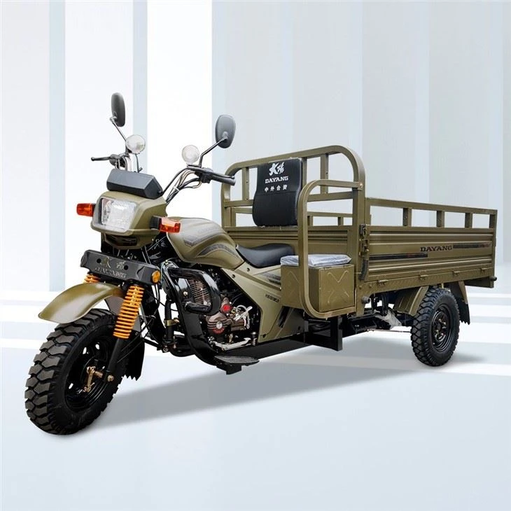 175cc 3 Wheels Carga Tricycle