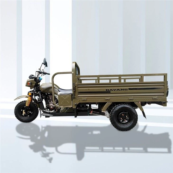 175cc 3 Wheels Carga Tricycle