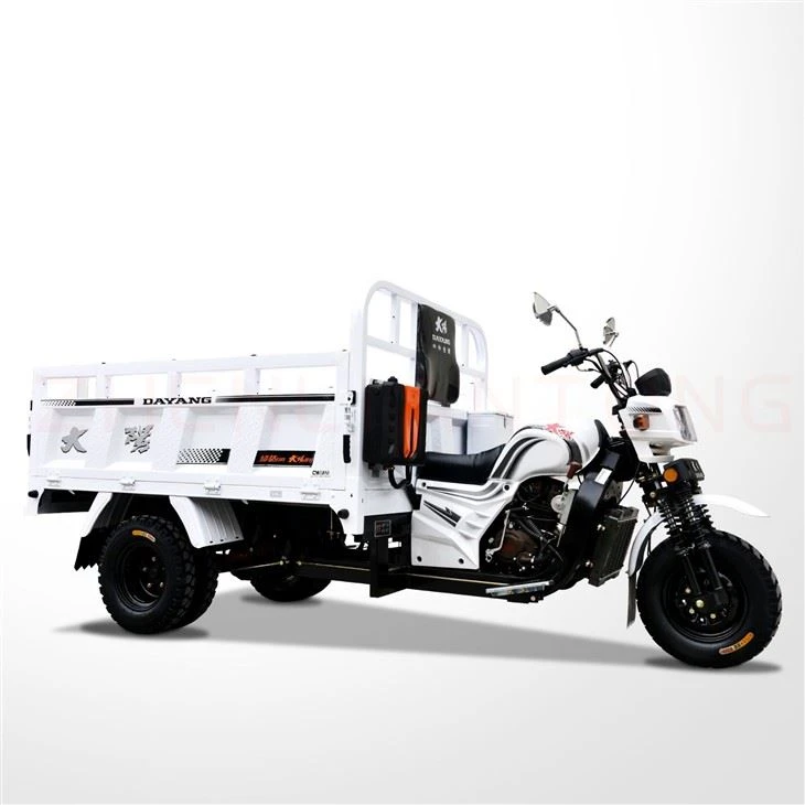 200cc Cargo Trike Moto