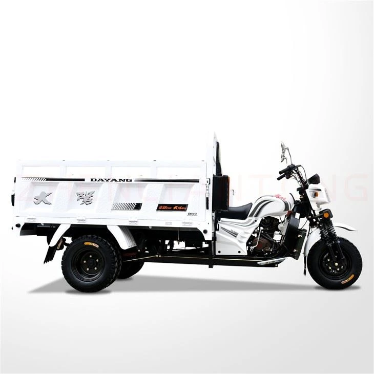 200cc Cargo Trike Moto