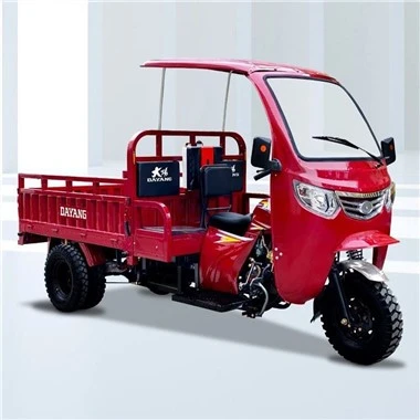 250cc 3 ล้อ Carga Trimoto