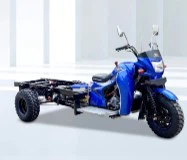 รถสามล้อบรรทุกสินค้า 300cc รุ่นใหม่ DAYANG เครื่องยนต์เบนซิน