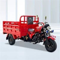 รถสามล้อบรรทุกน้ำมันเบนซิน 175cc รถจักรยานยนต์สามล้อ