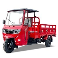 รถสามล้อเบนซิน 200cc พร้อมกล่องบรรทุกสินค้า 800กก