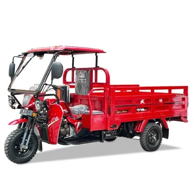 อะไหล่รถจักรยานยนต์สามล้อบรรทุกผู้โดยสารสามล้อยอดนิยม